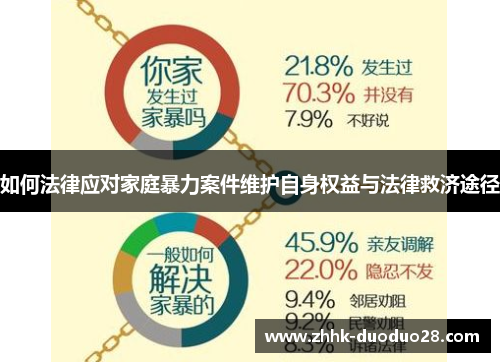 如何法律应对家庭暴力案件维护自身权益与法律救济途径
